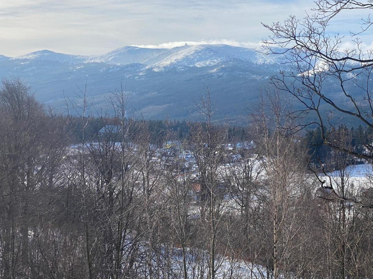 Green Park Resort - Widokowy D14 Z Dostepem Do Basenu, Sauny I Jacuzzi I Komorki Na Rowery Sklářská Poruba Exteriér fotografie